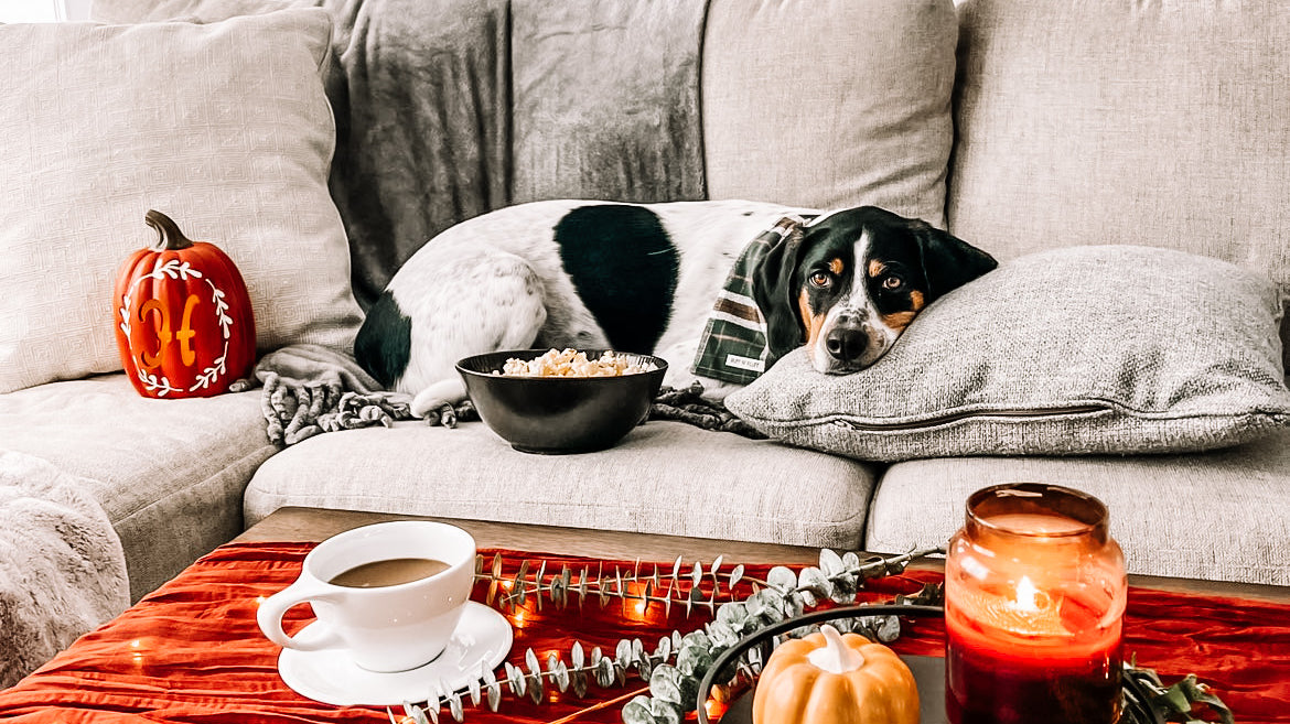 Fall Pup-Tivities