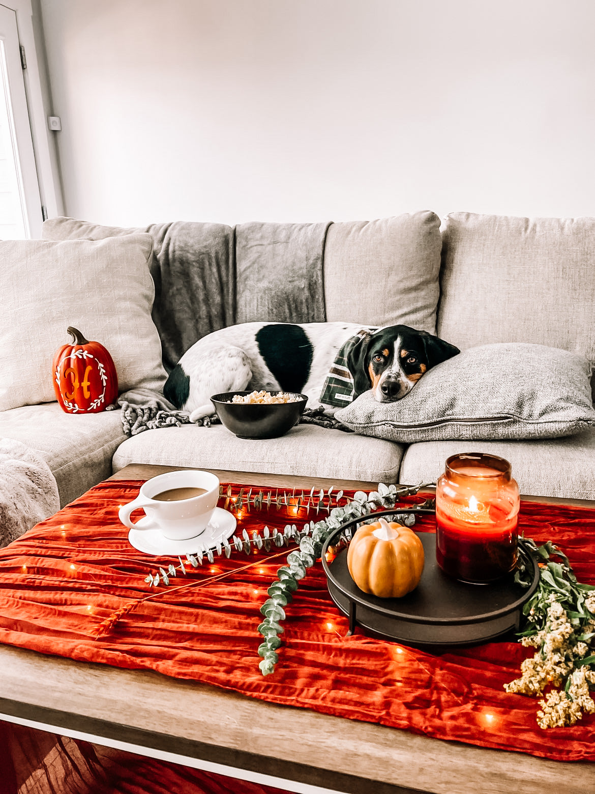 Fall Pup-Tivities
