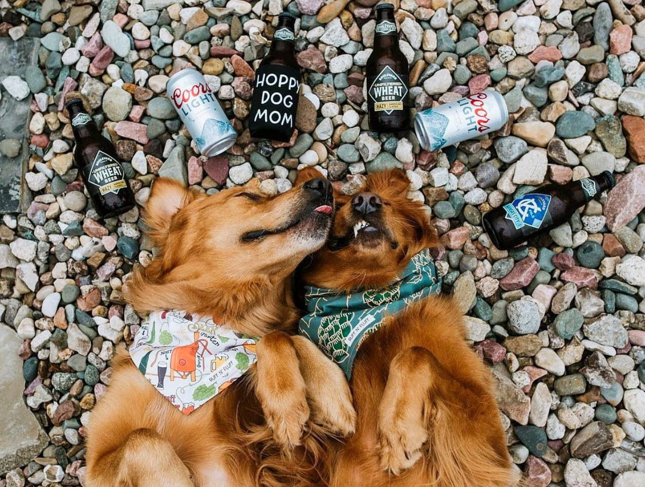 Brewery