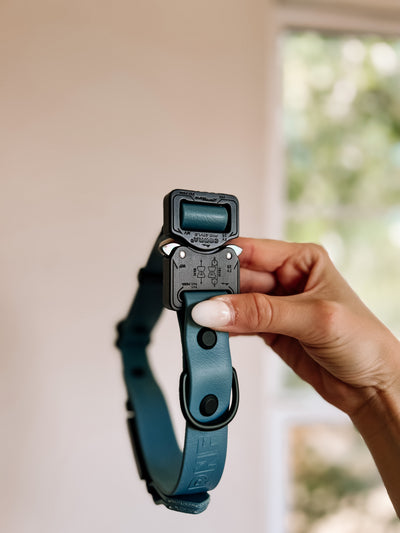 Fi Compatible - End Link Purchase Only