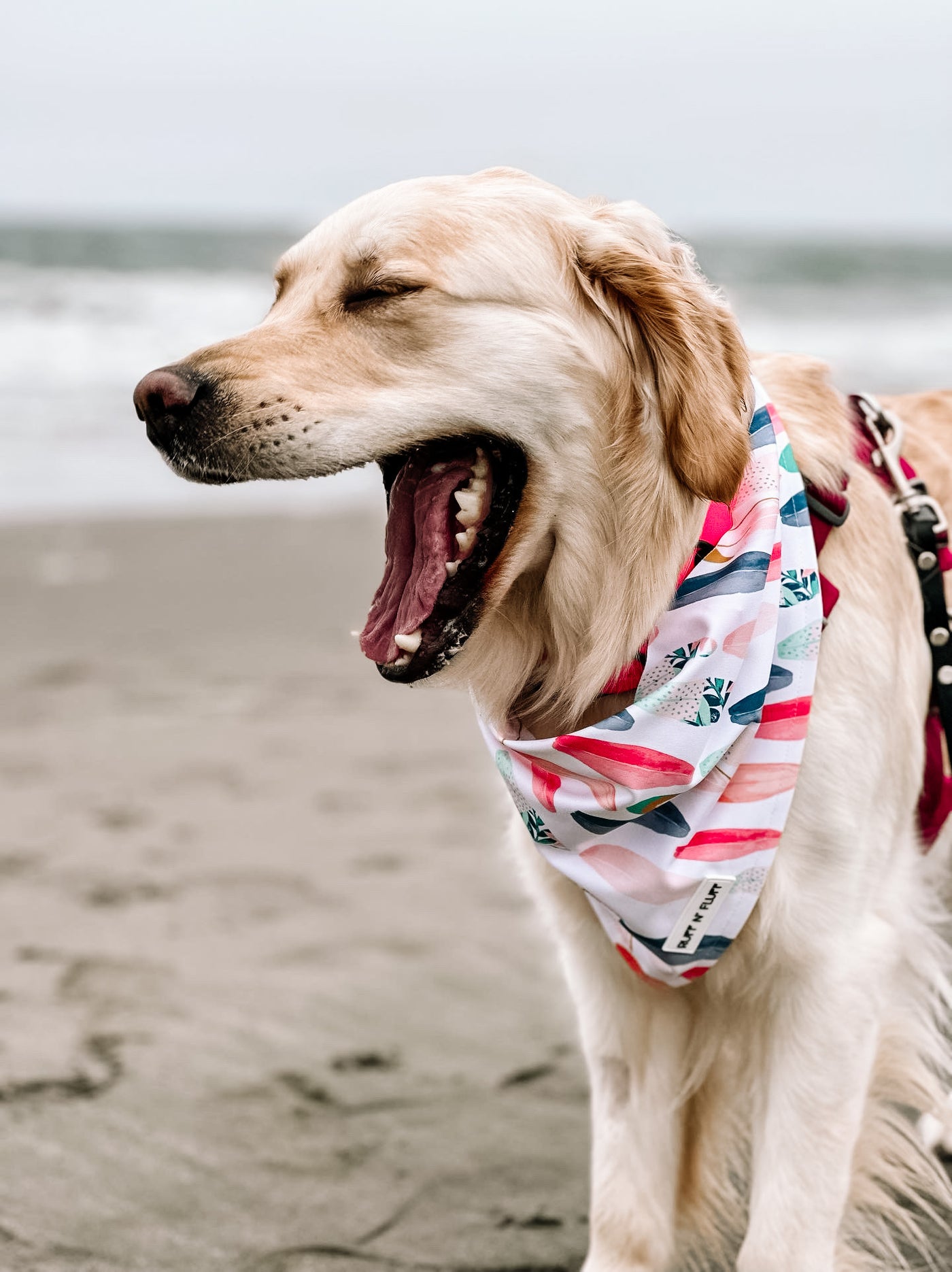 Surfin' USA Water Wicking Bandana