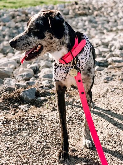 Bisbee Bandana