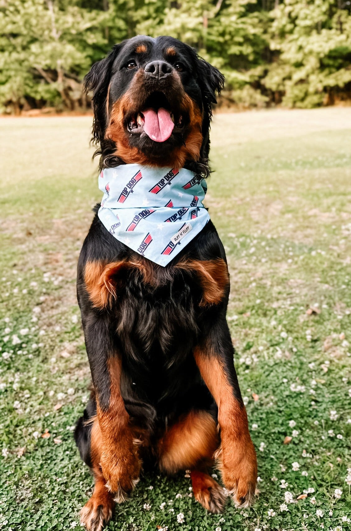 Top Dog Bandana