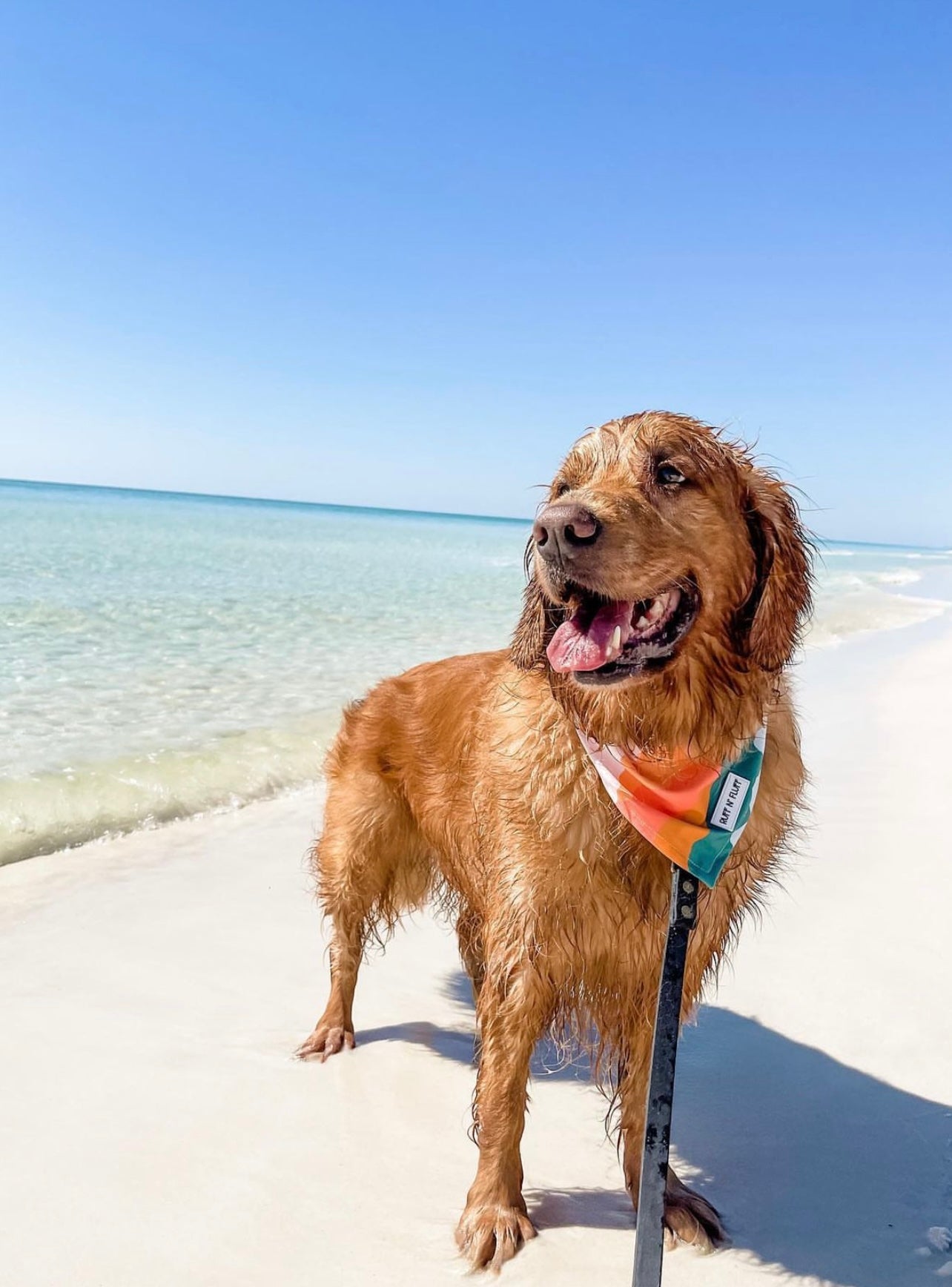 Summit Water Wicking Bandana