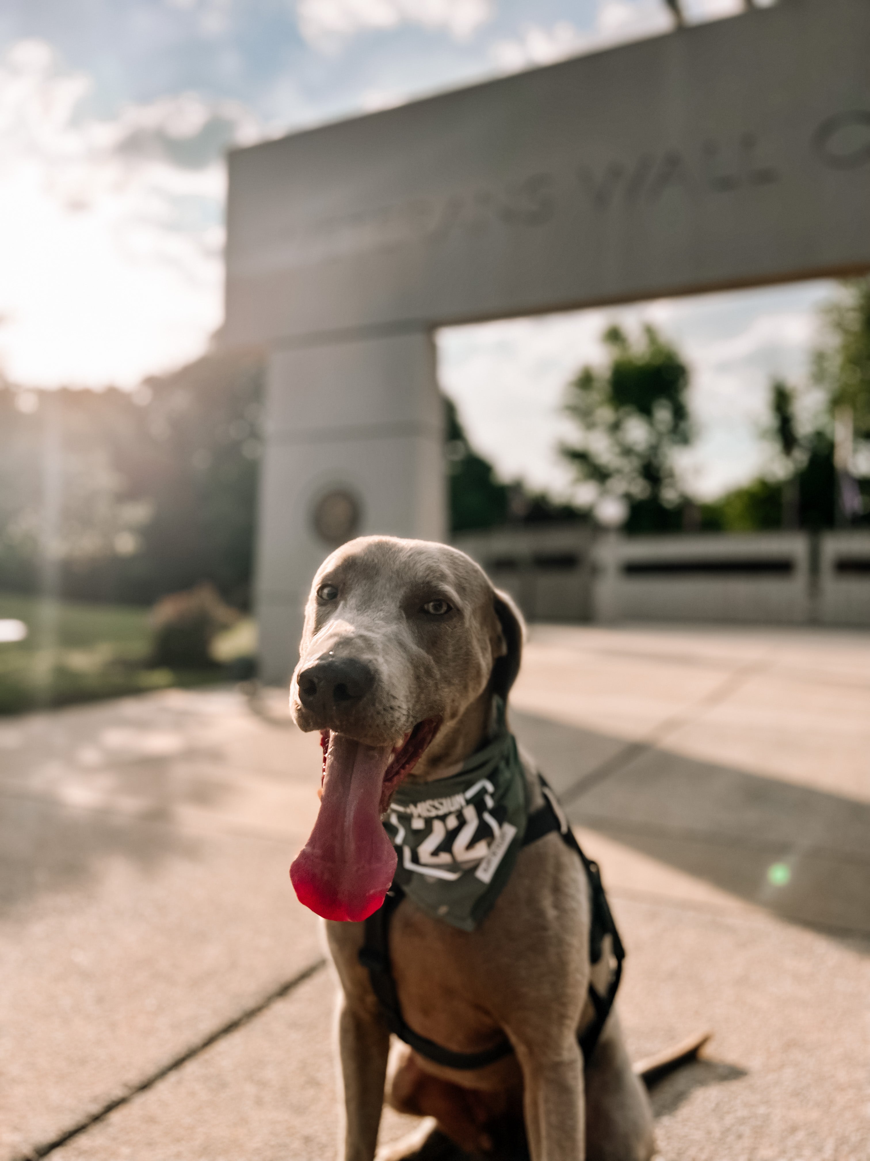 M22 Warrior Bandana