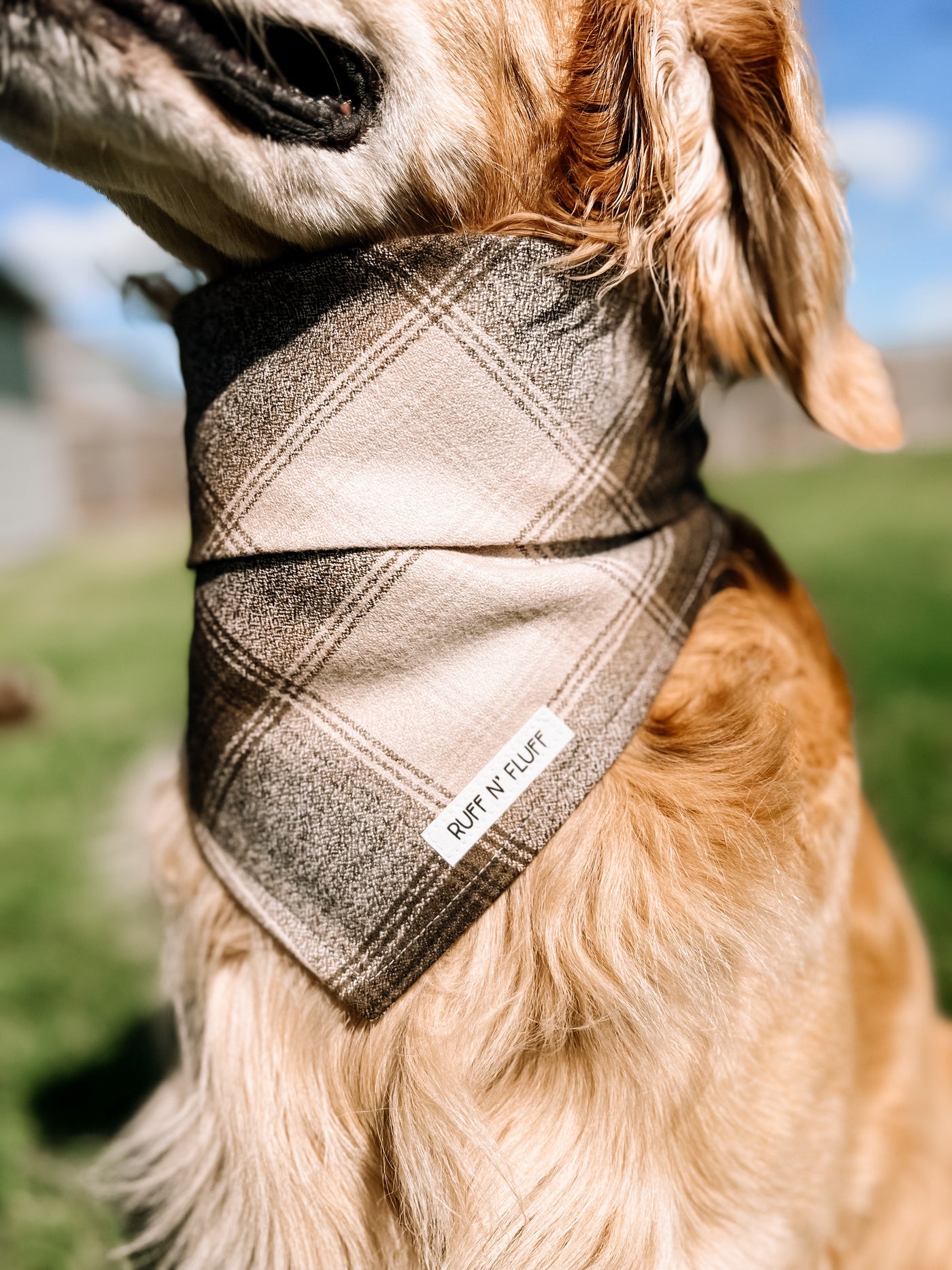 Olive Flannel Bandana