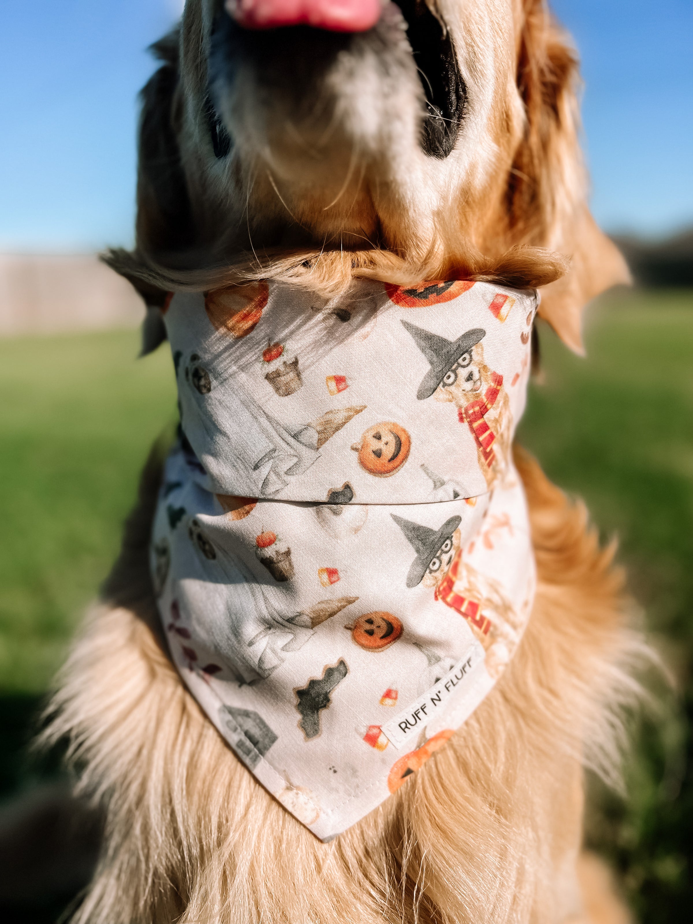 San Francisco Giants Dog Bandana, Personalized with your Pup's Name – Koa's  Ruff Life