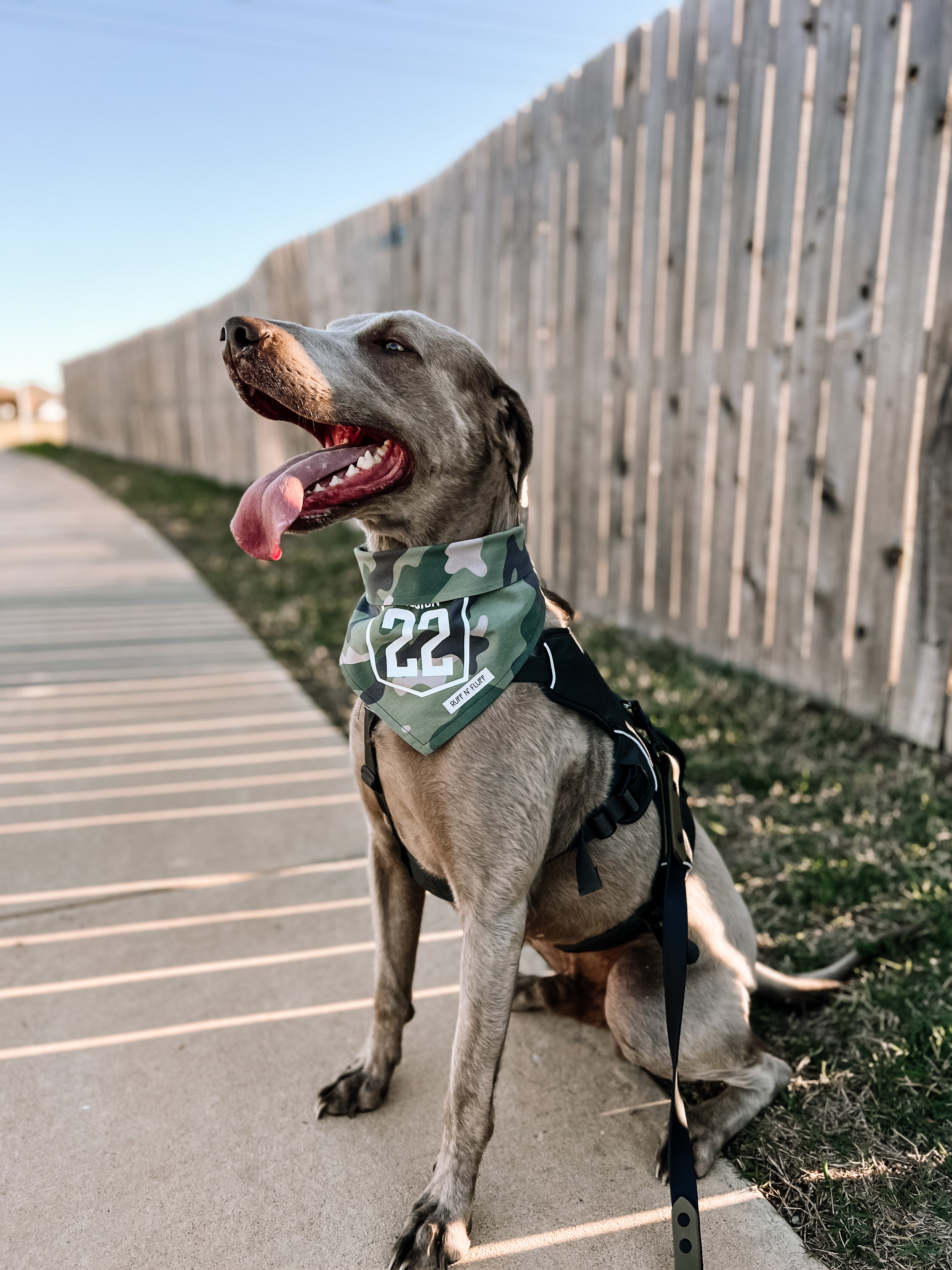 M22 Warrior Bandana