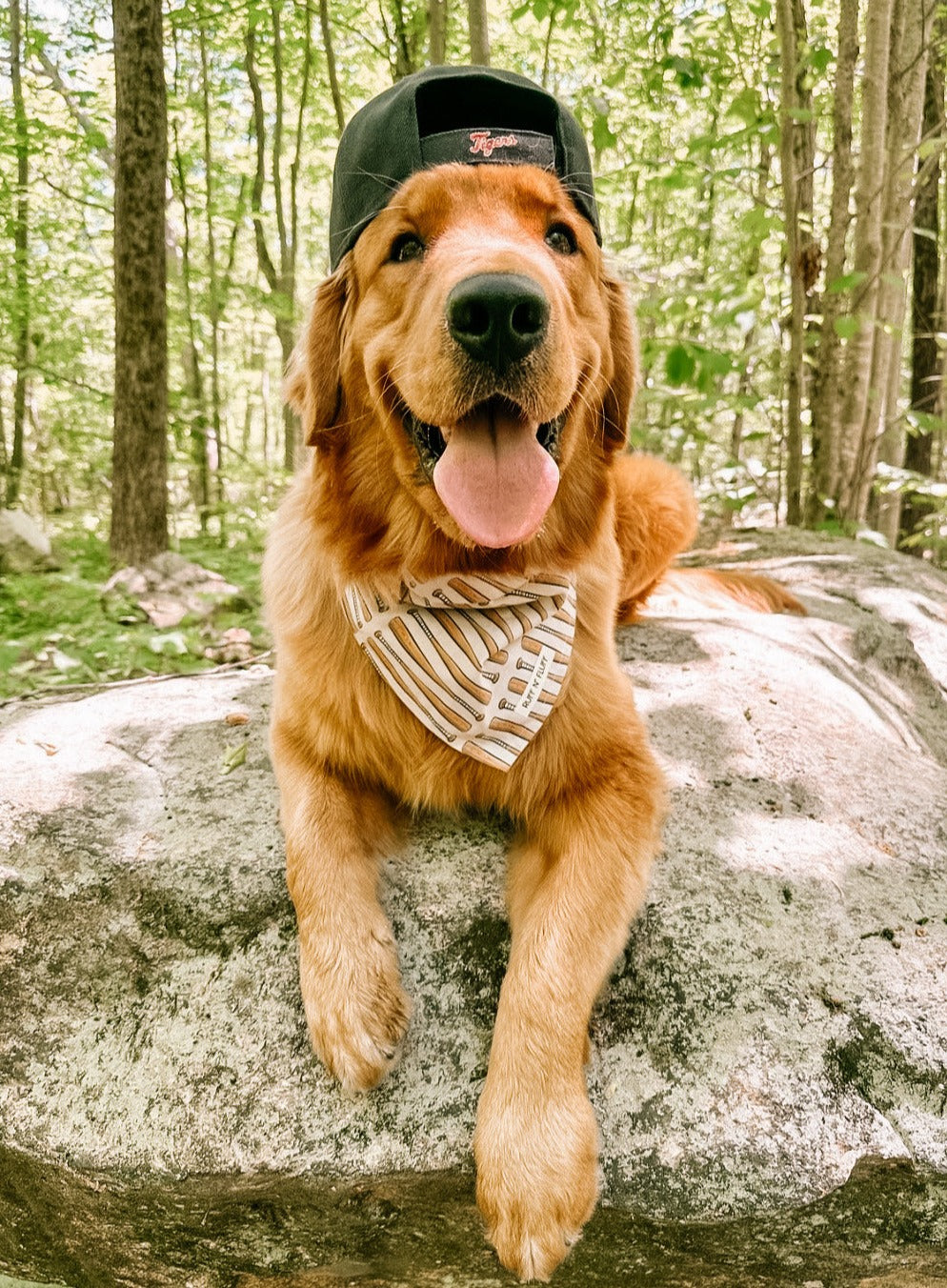 Play Ball Bandana