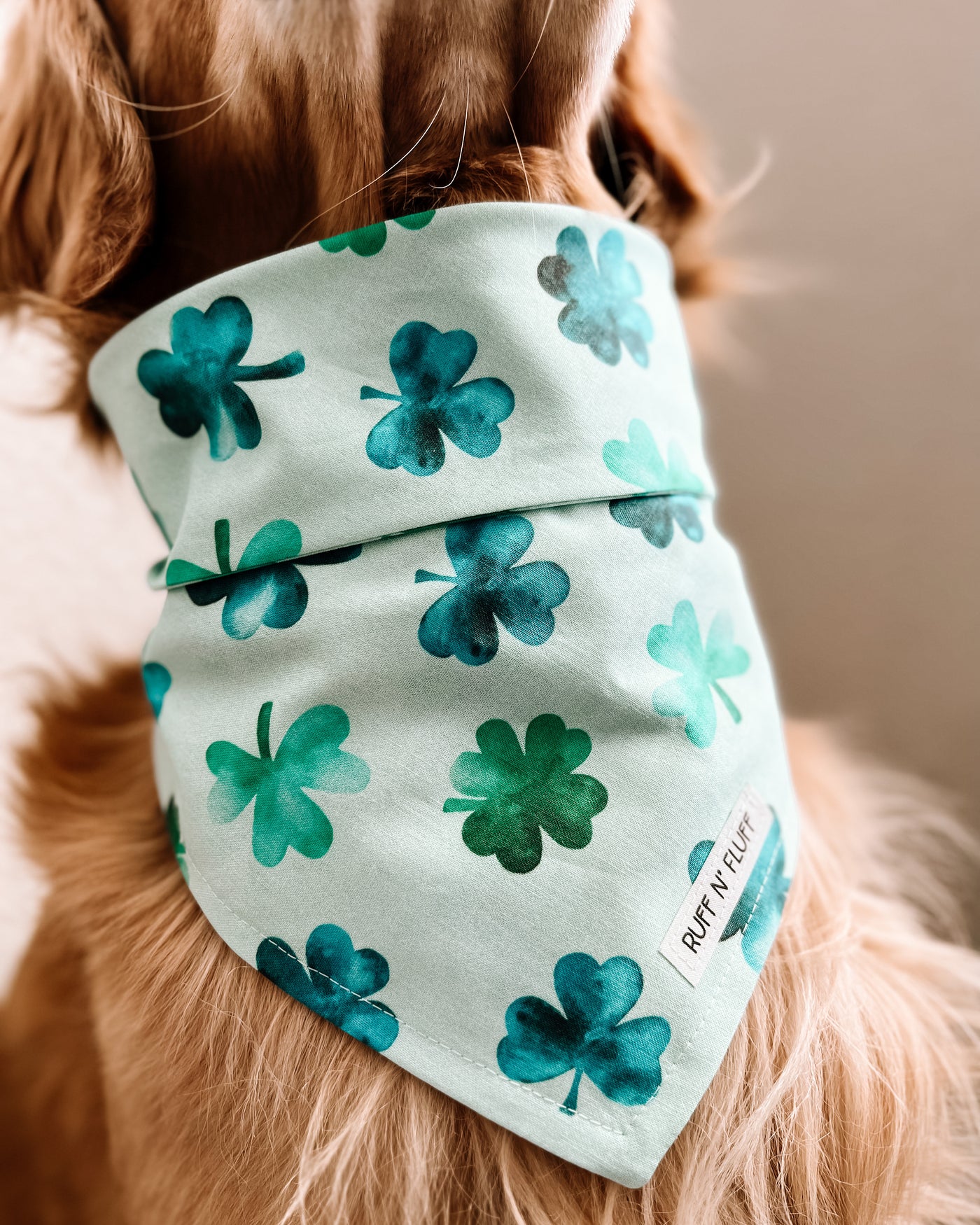 Floofin' Lucky Bandana