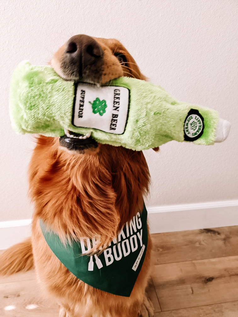 Drinking Buddy Bandana