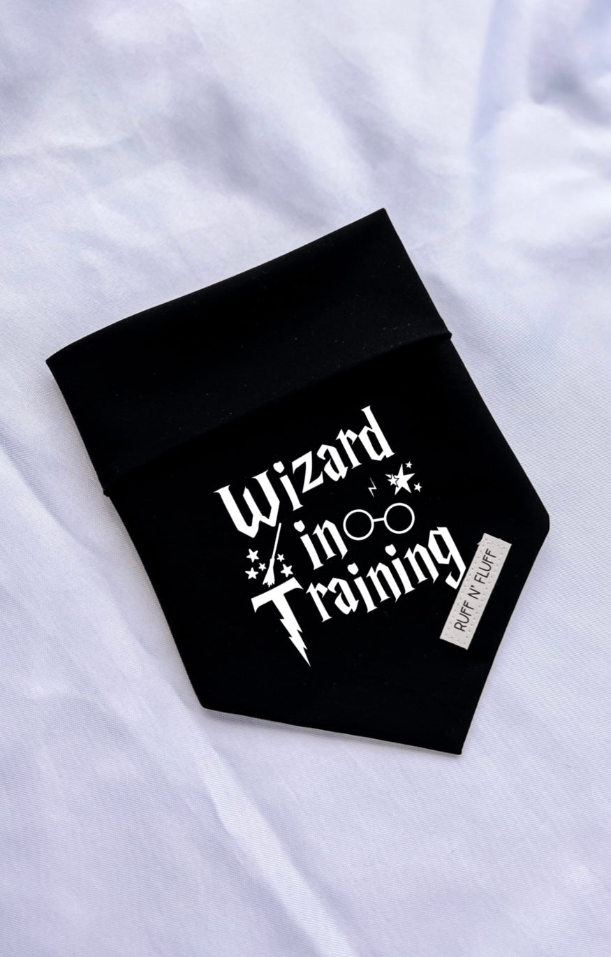 Wizard in Training (Glow in the Dark) Bandana