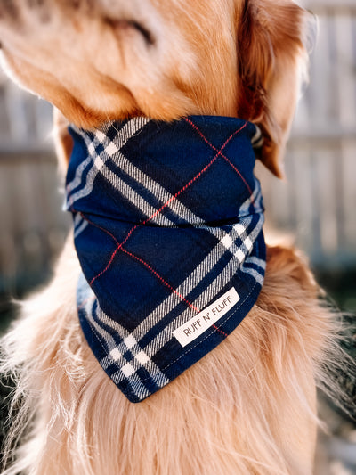 Cascade Flannel Bandana