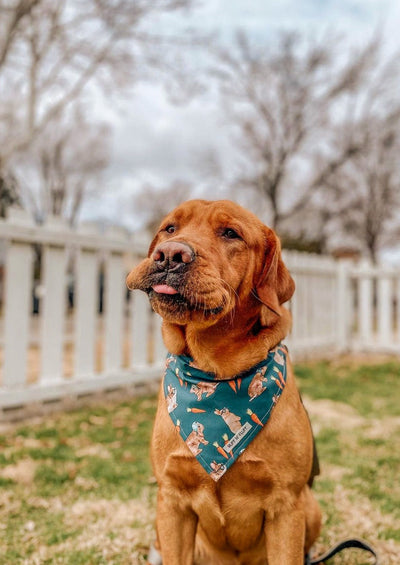 Hip Hop Bandana