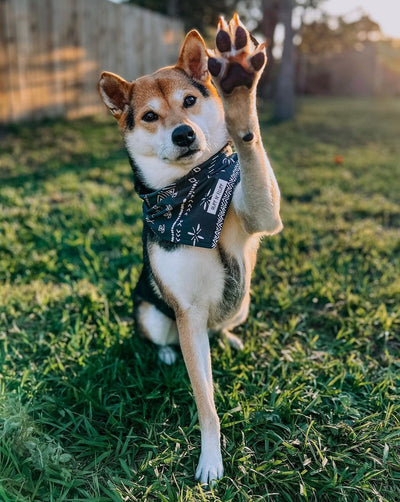 Minimal Spring Bandana