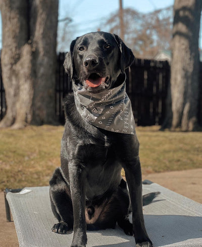 Minimal Spring Bandana
